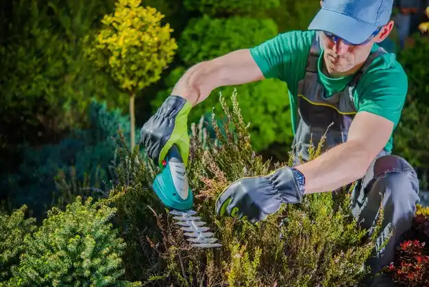 landscaping services Kirksville